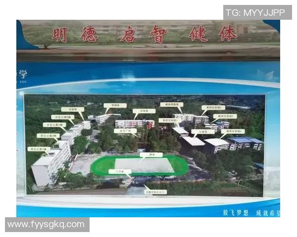 井研足球明星是谁揭秘他在赛场上的精彩瞬间与个人风采图片欣赏